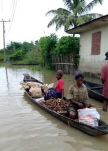 Picture showing flood in Ogbaru 
